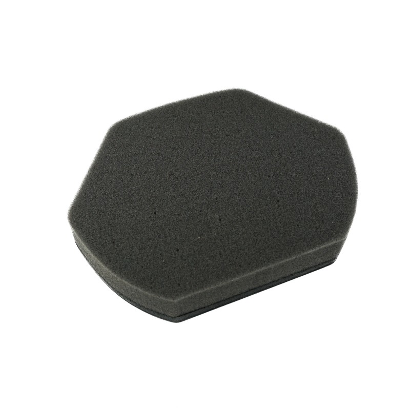 Filtro compatible con BOSCH BGC11550 Aspirador, BGC11700, BGC1B100, BGC1B130, etc. Referencia original alternativa 00579275