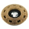 Pincel de pulido compatible para Monobrosse GHIBLI SB-143 TSN - Ref Origen 00-254, 00254