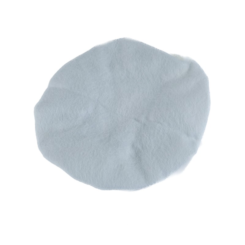 Filtre en tissu pour panier filtrant compatible avec aspirateurs Taski modèles Vento 8 et Vento 15. Alternative pour référence d'origine 30014-20
